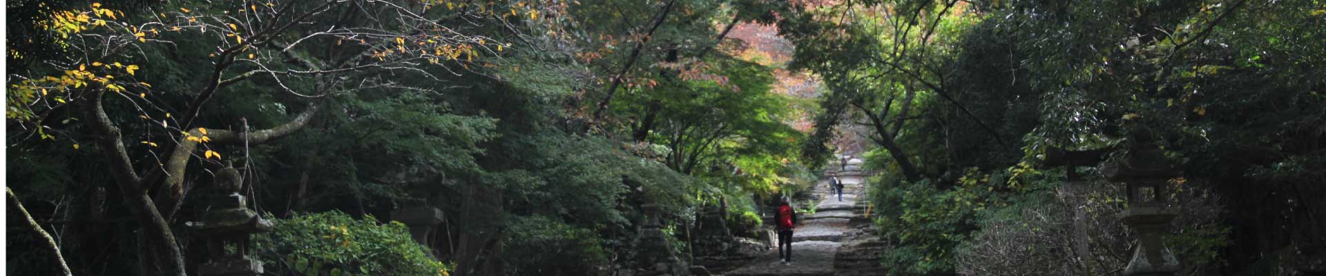 パソコン用の画像