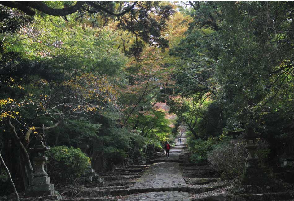 スマートフォン用の画像