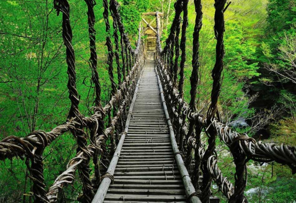 スマートフォン用の画像